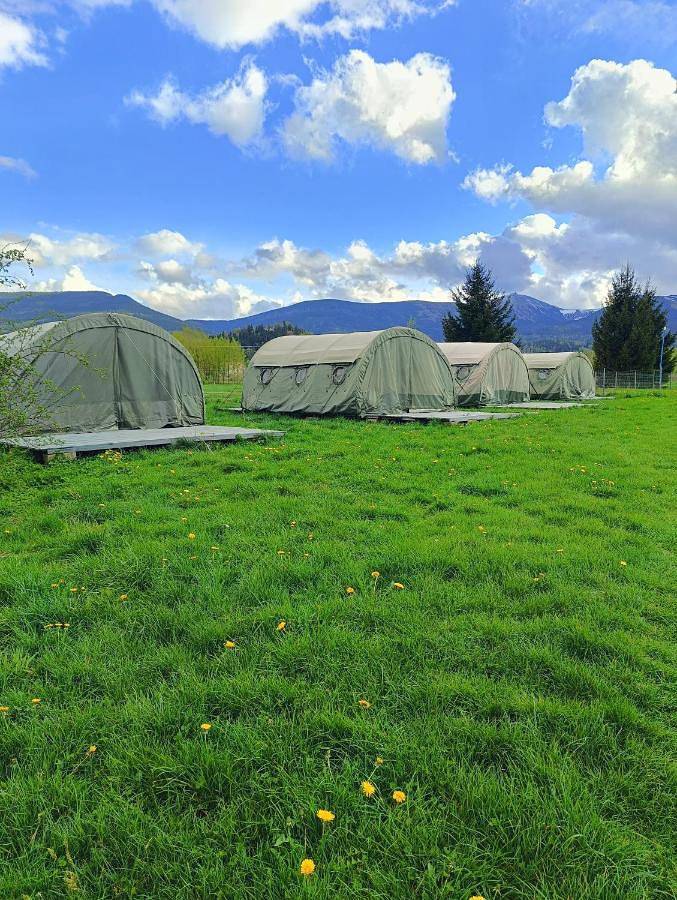 Ferienhaus für 5 Personen, mit Pool und Garten in Niederschlesien - 2