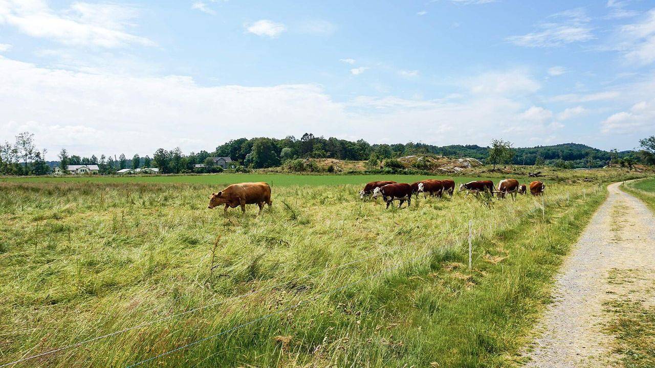 Ferienhaus für 6 Personen (70 m²) in By in Värmland