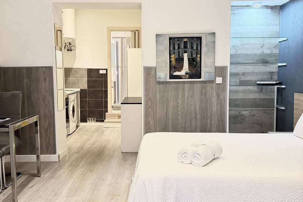 Entire apartment, Downtown Cozy Studio Apartment Gran Vía | 027 in Centro (Madrid), Madrid