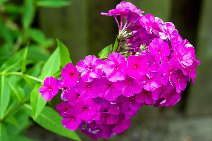 Ferienhaus für 6 Personen, mit Terrasse in Norden - 4