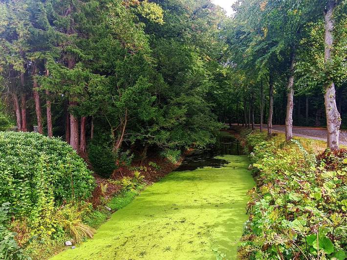 Ferienhaus für 4 Personen an der Westküste Dänemarks - 2