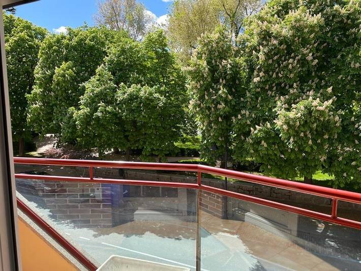 Gîte pour 6 personnes, avec vue et balcon à Ávila - 4