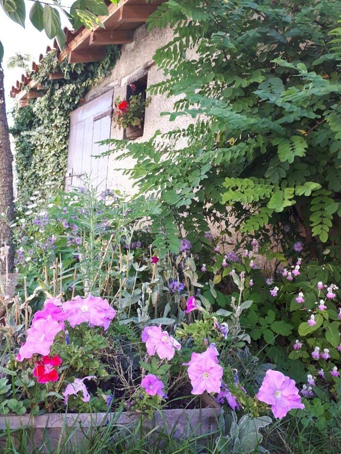 L'Orme-Vial in Saint-Galmier, Montbrison