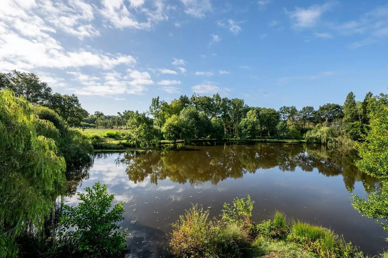 Mobil Home Venezia 4 estancias 6 Personas Clima + Tv in Bélus, Region de Dax