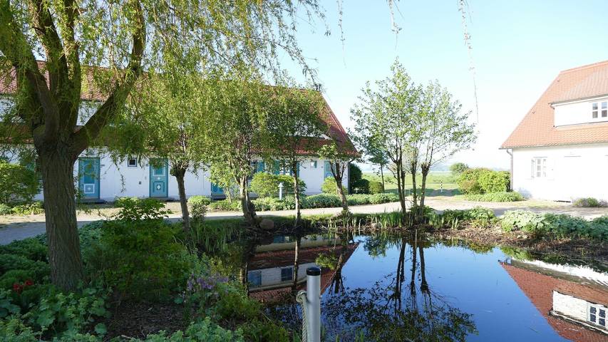 Ferienhaus für 4 Personen, mit Garten und Sauna sowie Pool, kinderfreundlich an der Ostsee - 2