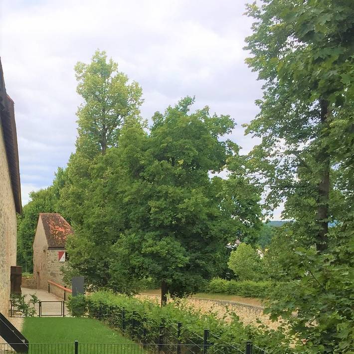 Ganze Wohnung, Falkner Turm - Ferienhaus an der Stadtmauer in Sulzbach-Rosenberg, Ostbayern