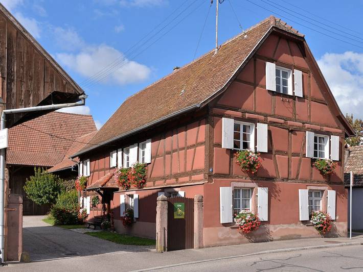Location de vacances pour 6 personnes, avec Terrasse et Jardin à Jebsheim