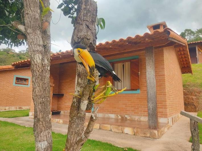 Pousadas e b&b para 3 pessoas, com vista e jardim e ainda balcão em Lima Duarte