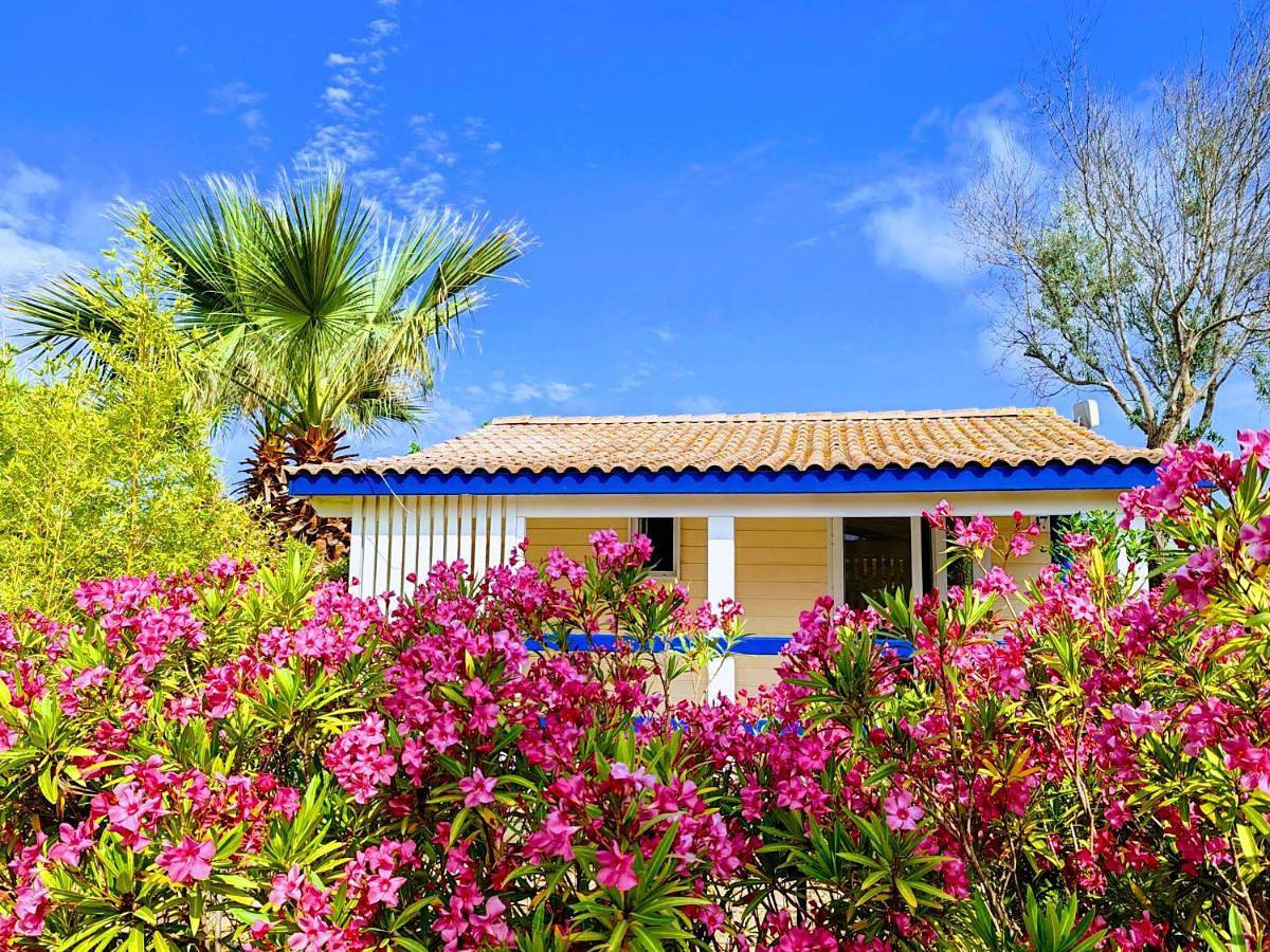 Camping Hameau Des Cannisses in Gruissan (Ville), Gruissan