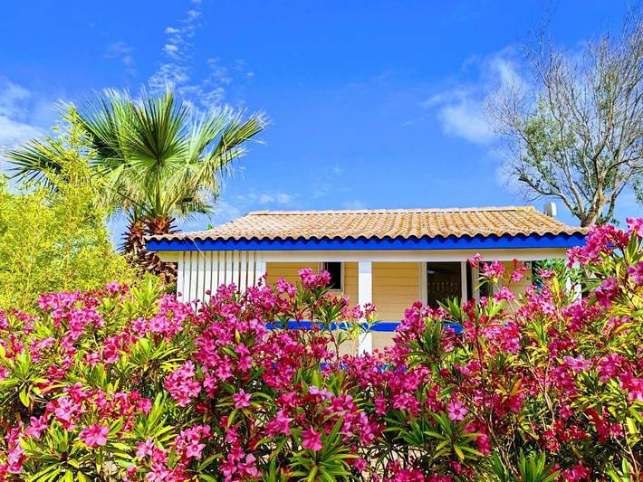 Location de vacances pour 2 personnes, avec jardin ainsi que vue et piscine, animaux acceptés à Gruissan - 3