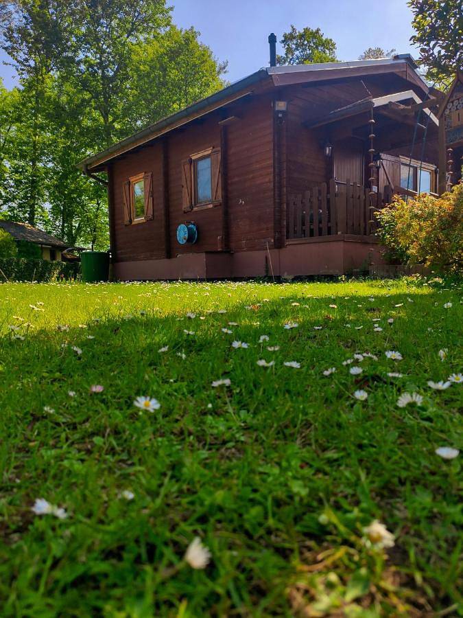Ferienhaus für 4 Personen, mit Garten und Terrasse in Neustadt-Glewe - 3