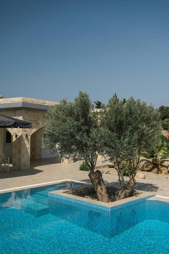 Ferienhaus für 2 Personen, mit Terrasse und Garten in Pitsidia - 2