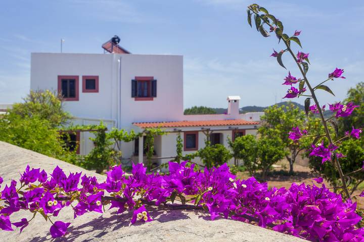 Villa pour 7 personnes avec terrasse in Santa Agnès de Corona, Sant Antoni de Portmany