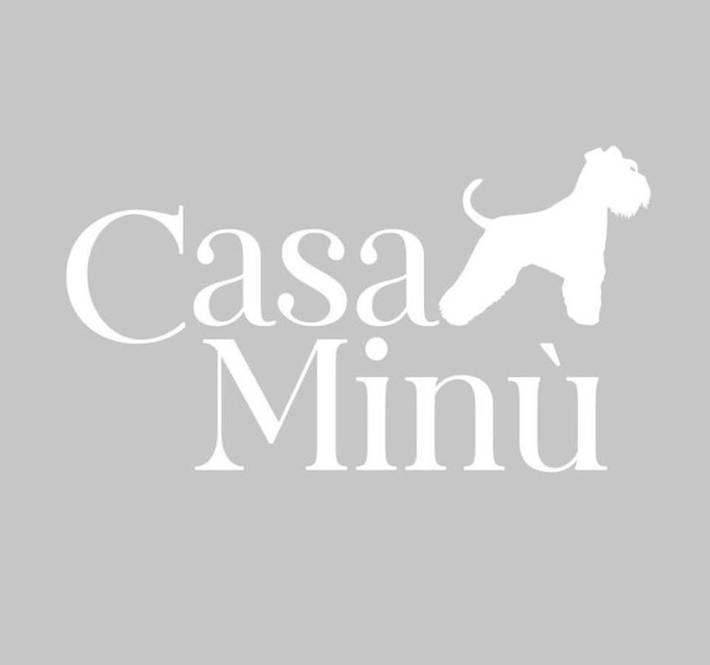 B&b per 2 persone, con Balcone e Terrazza a Viareggio