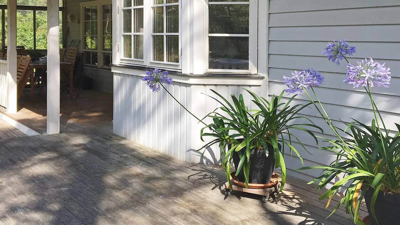 Ferienhaus für 6 Personen (66 m²) in Yngsjö in Kristianstad, Schwedische Ostsee