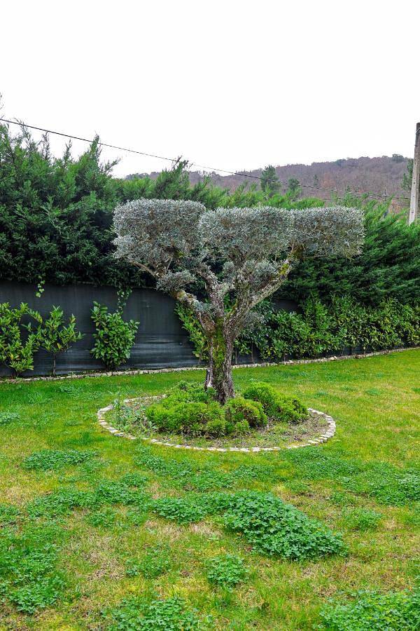Gîte pour 6 personnes, avec jardin dans Macedo de Cavaleiros - 4