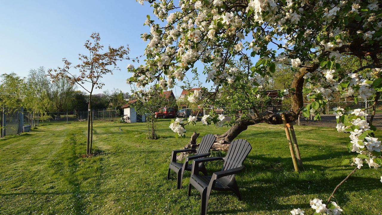 Ferienhaus für 2 Personen (40 m²) in Bergen Op Zoom in Bergen op Zoom, Nordbrabant