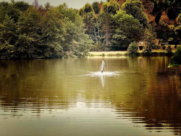 Maison d’hôte pour 2 personnes, avec jardin dans l' Ain - 4