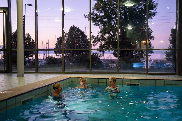 Gîte pour 2 personnes, avec piscine et sauna, animaux acceptés dans Lac Léman (France) - 2