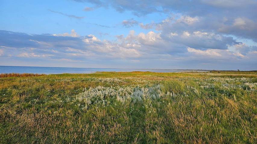 Ferienhaus für 15 Personen, mit Pool und Terrasse sowie Sauna und Whirlpool in St. Sjørup - 2