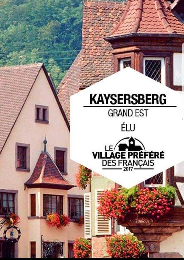 Appartement entier, Appartements & Chambres Les Loges du Capucin in Kaysersberg, Parc naturel régional des Ballons des Vosges
