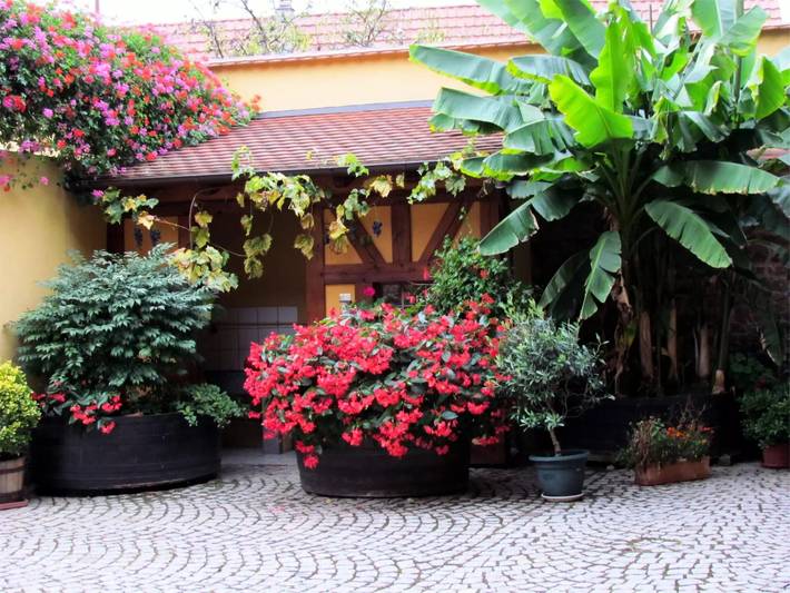 Gîte pour 5 personnes, avec balcon à Itterswiller