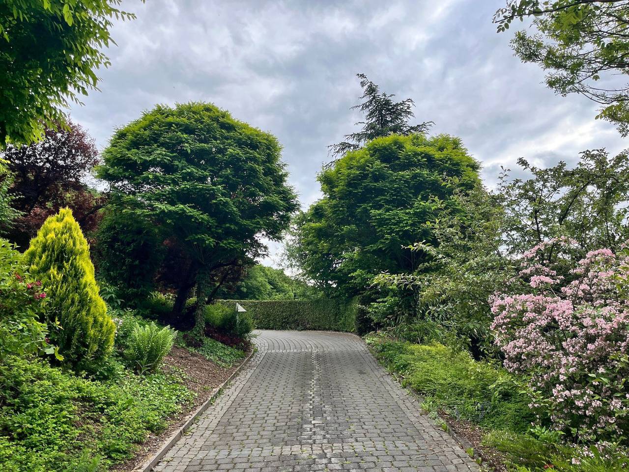 Ganze Ferienwohnung, Ausblick am Mammutbaum - Appartement/Fewo, Dusche oder Bad, 2 Schlafräume in Kirn, Nahetal