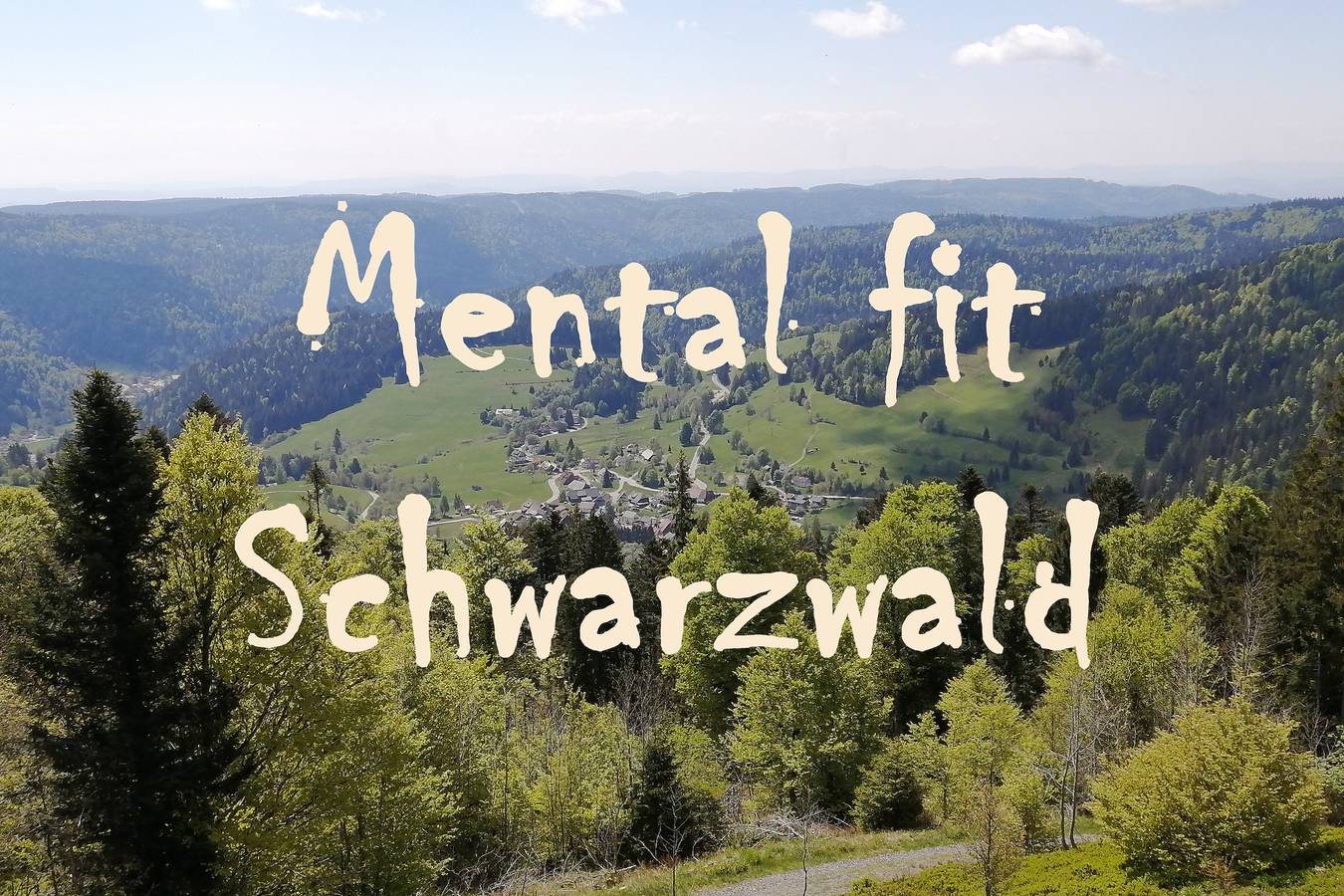 Ganze Wohnung, Apartment 'Mental Fit, 11, Todtmoos' mit Bergblick, privater Terrasse und Wlan in Todtmoos, Südschwarzwald