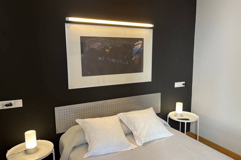 Appartement entier, León Apartments. 20 years of success. Centrally located and recently air-conditioned in León, Chaîne Cantabrique