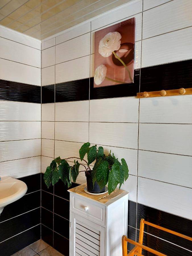 Gîte pour 2 personnes, avec vue ainsi que jardin et terrasse à Salazie - 4