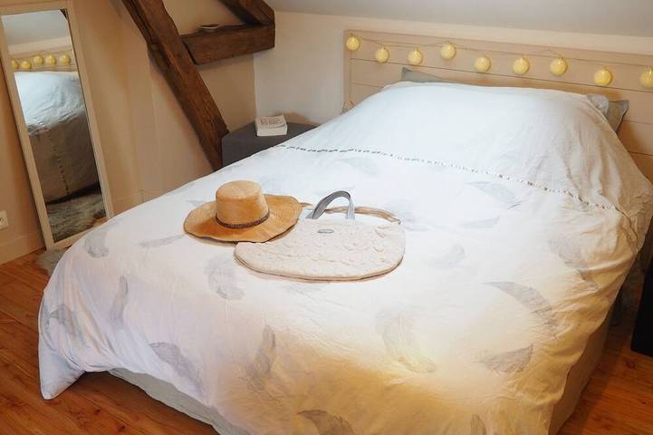 Gîte pour 9 personnes, avec jardin, animaux acceptés dans Les Eyzies - 3