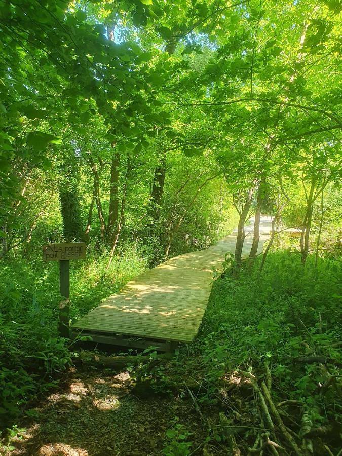 Cabane insolite La Goupil - Proche Rochefort-en-Terre in Pluherlin, Région de Vannes