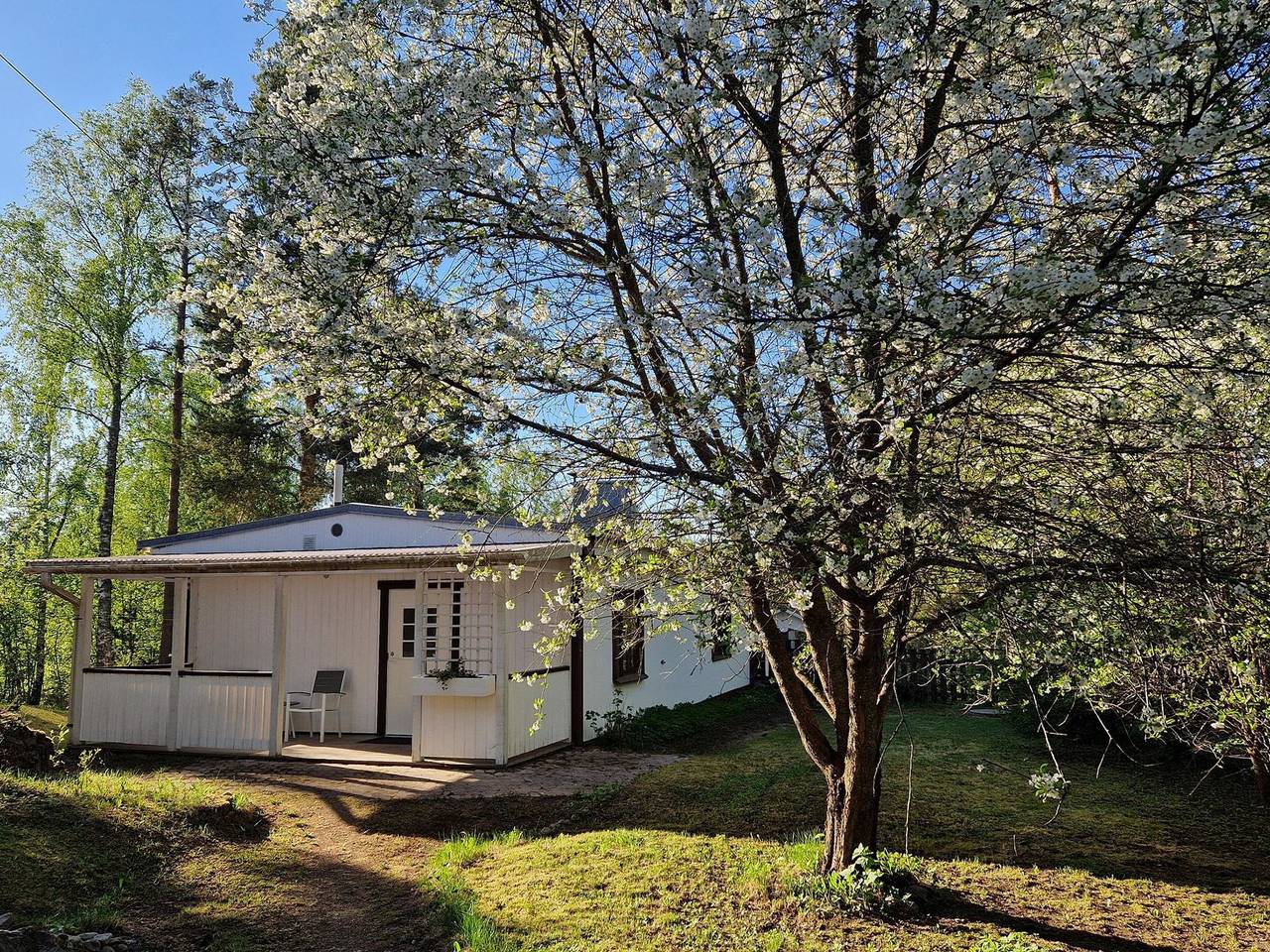 Villa kataja in Siuntio, Uusimaa