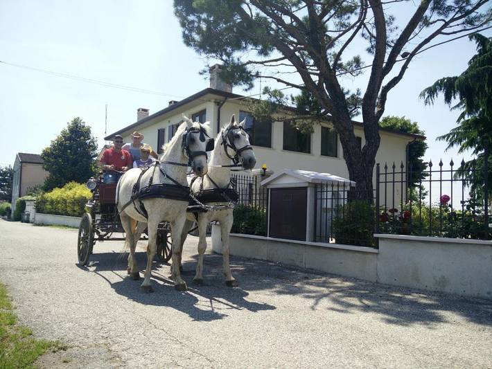 B&b per 2 persone, con Terrazza e Giardino nonché Panorama a Villafranca di Verona
