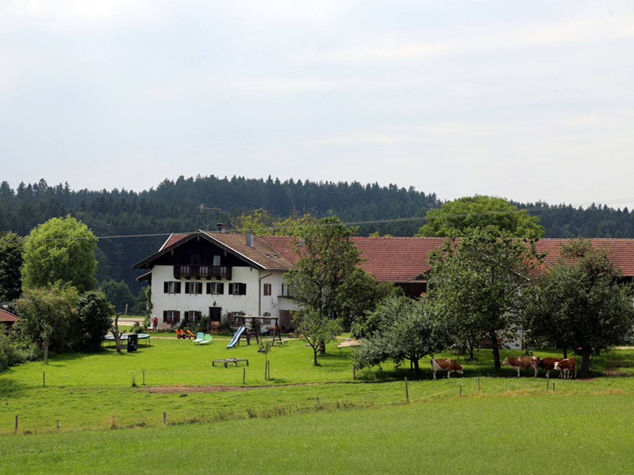 Joklmohof Urlaub auf dem Bauernhof - Ferienwohnung Liesl bis 5 Personen, Terrasse, 75 qm und Galerie 30 qm in Waging am See, Rupertiwinkel