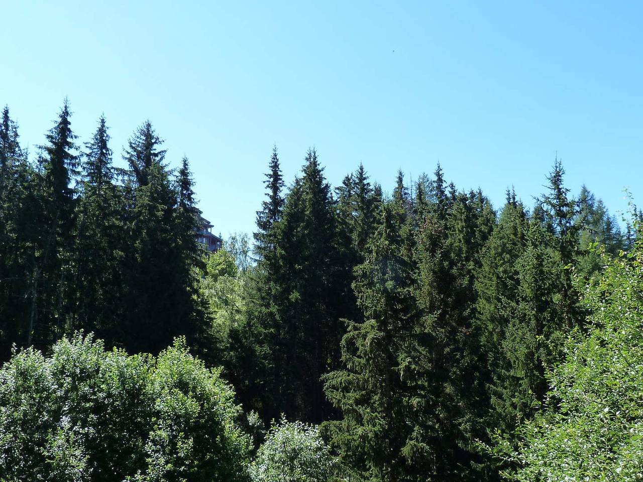 Entire apartment, Renovated 4-room apartment for 8 in the heart of Arc 1800, pets allowed in Arc 1800, Bourg-Saint-Maurice