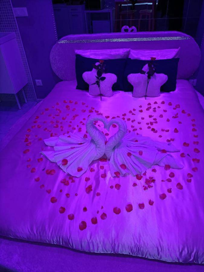 Double Room in Castelnaudary, Canal du Midi