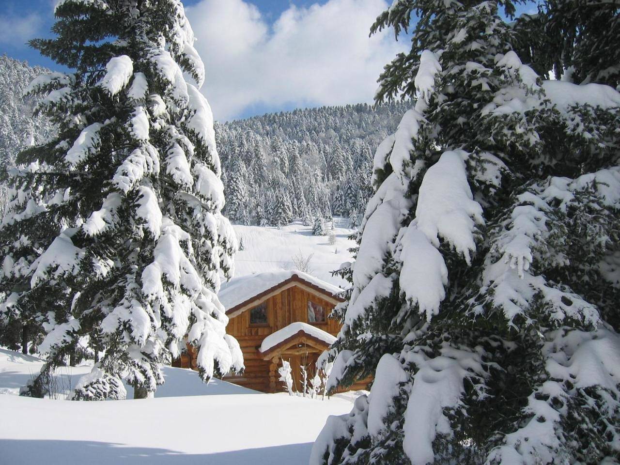 Le Couarôge Chalets et Appartements in La Bresse, Parc naturel régional des Ballons des Vosges