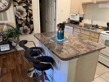 Apartment for 2 Guests in Clearwater, Pinellas County, Picture 3