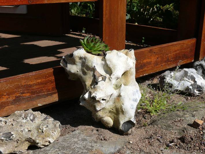 Ferienwohnung für 3 Personen, mit Garten, kinderfreundlich in Bergen auf Rügen und Umgebung - 4