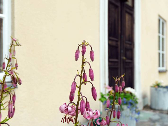 Ferienhaus für 11 Personen, mit Garten in Södermanland - 2