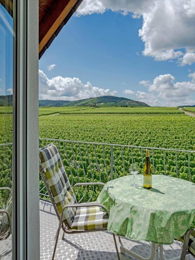 Ganze Wohnung, Ferienweingut Winnebeck in Köwerich, Moseleifel