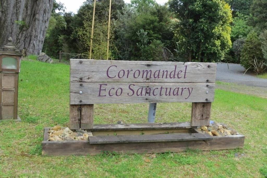 Silberplatzierung für umweltfreundliche Partie des Jahres 2017 - Bali Theme in Coromandel, Waikato