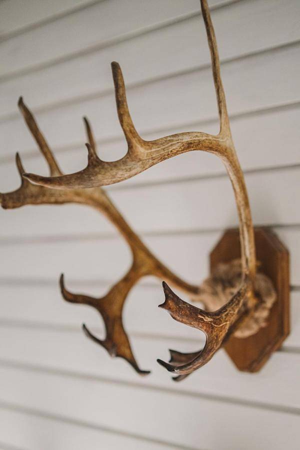 Gîte pour 6 personnes, avec sauna et terrasse, adapté aux familles dans Akaslompolo - 4