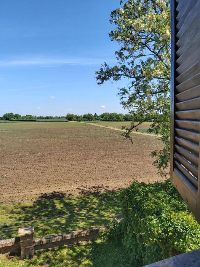 Izletište Opatovac in Vukovar-Syrmia
