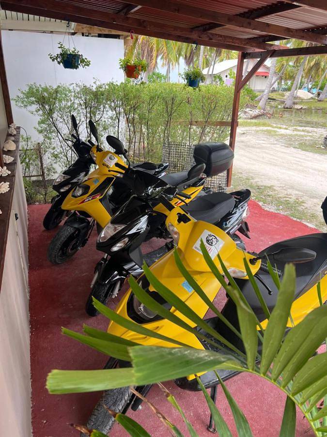 Gîte pour 2 personnes, avec terrasse et jardin dans Fakarava - 2