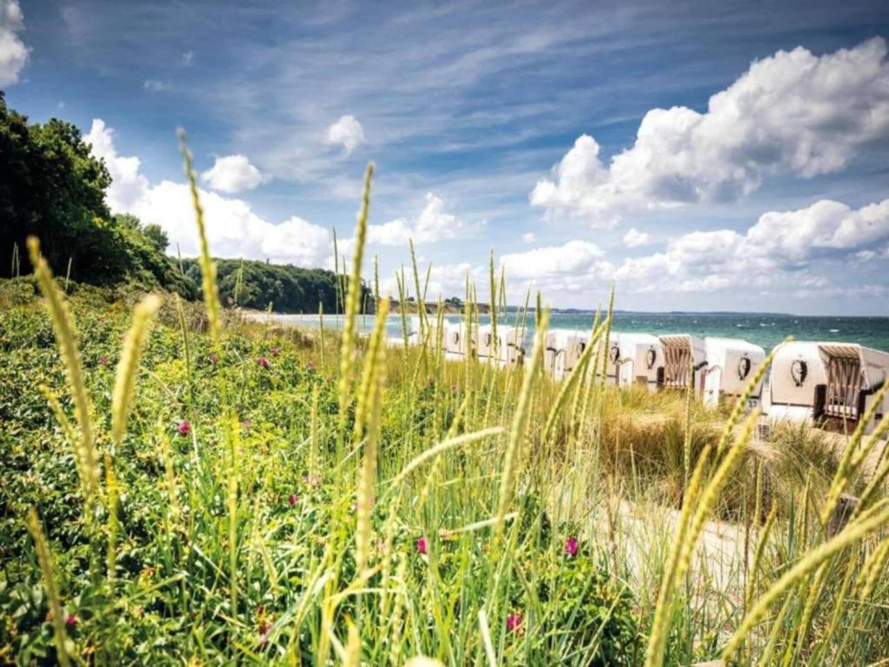 Strandnahes Ferienhaus mit Garten und Terrasse in Zierow, Nordwestmecklenburg (Wismar und Umgebung)