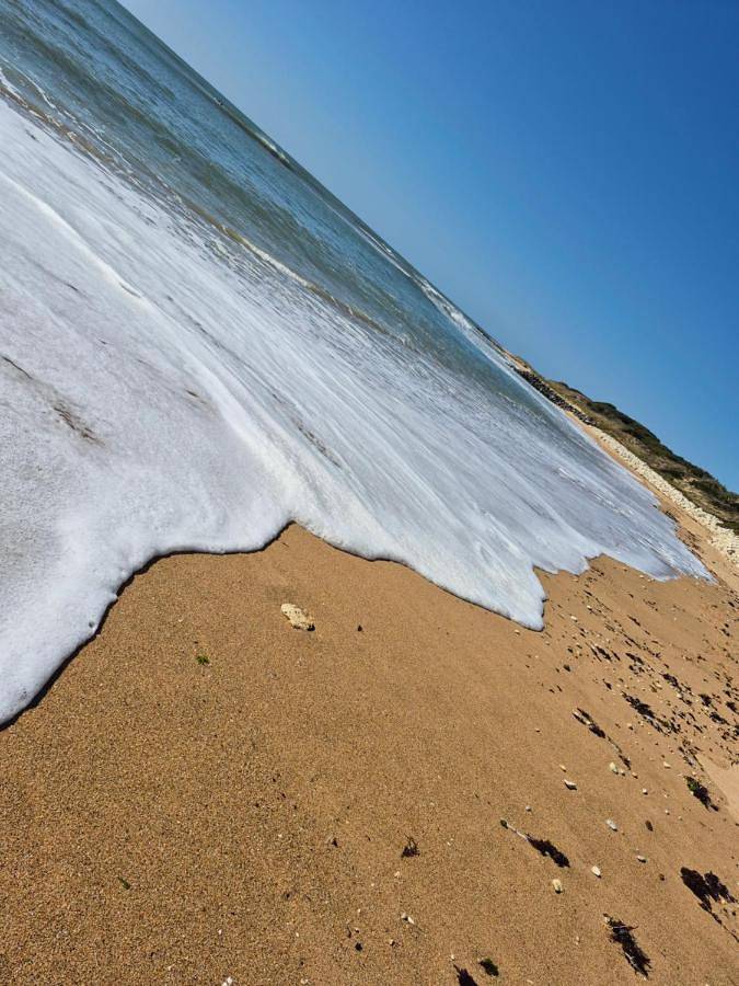 Camping pour 4 personnes, avec piscine ainsi que jardin et terrasse, animaux acceptés à Saint-Pierre-d'Oléron - 4