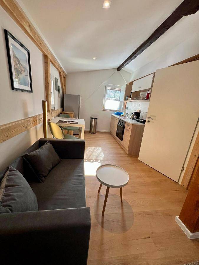 Ferienhaus für 13 Personen, mit Ausblick und Garten, mit Haustier in Reinhardtsdorf-Schöna - 4