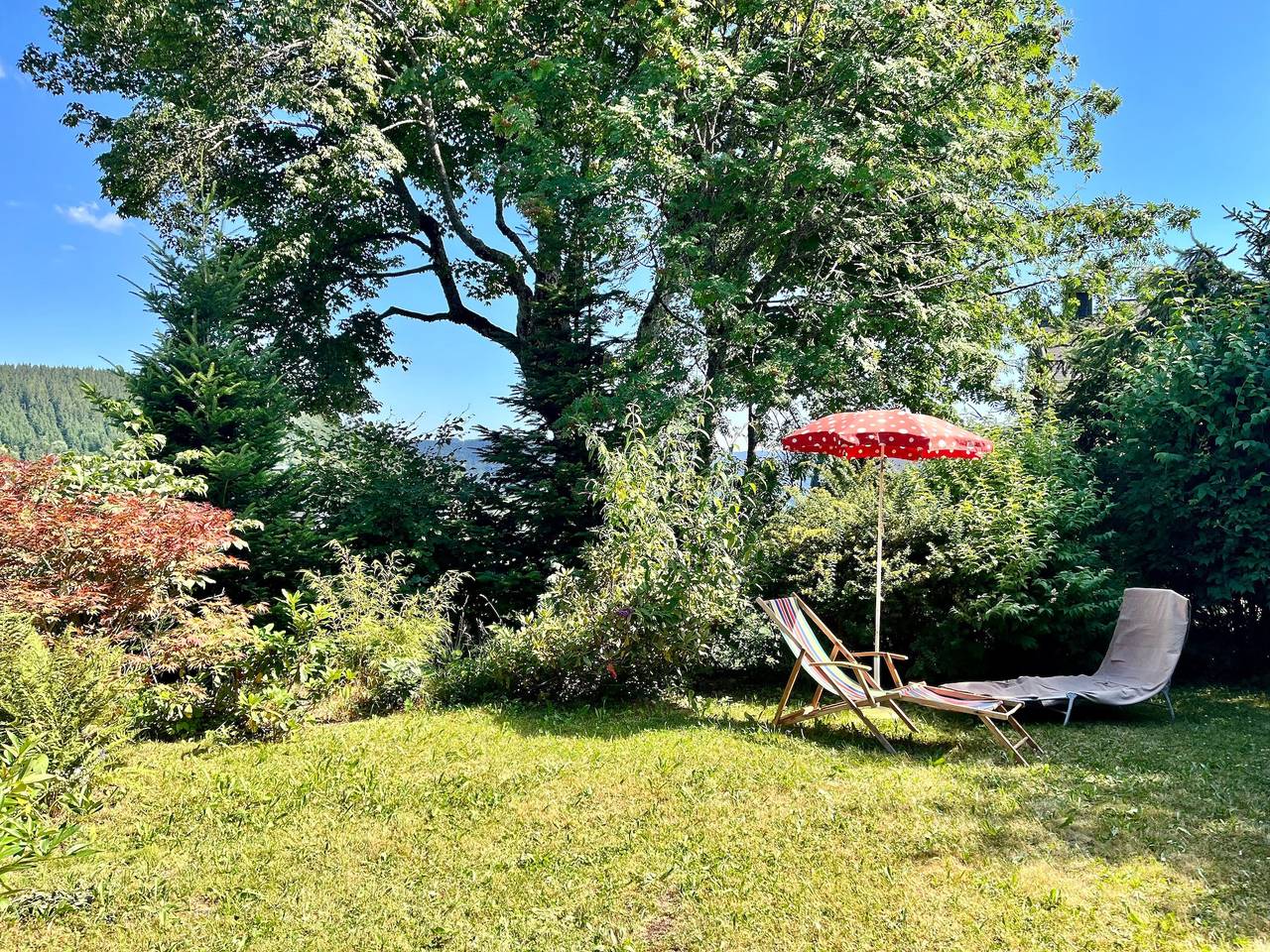 Ferienhaus Ahorn, 3 Schlafzimmer, Todtnauberg in Todtnauberg (Todtnau), Todtnau